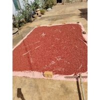 1kg Hạt màu điều, hạt cà ri