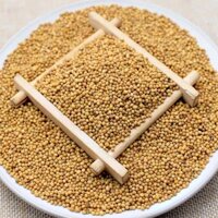 1Kg Hạt mù tạt vàng Ấn Độ cao cấp thơm ngon - Yellow Mustard Seed