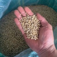 1Kg Hạt tiêu sọ nguyên chất 100%, không tạp chất - Tiêu sọ cay thơm
