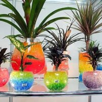 1KG Hạt Tinh Thể/ Hạt Nở Nhiều Màu Xinh Xắn - Trồng Cây, Tạo Tiểu Cảnh,Trang Trí Lọ Hoa, Slime