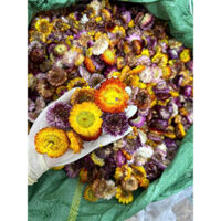 1Kg Hoa cúc bất tử sấy khô - Huỳnh Gia Foods