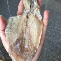 1kg khô mực 45-55