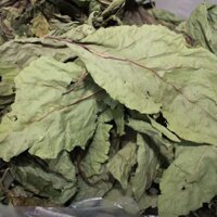 1kg Lá mật gấu khô (cây lá đắng ) - hàng sạch nhà làm thủ công