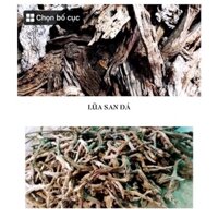 [1kG] Lũa San Đá Cành | Lũa San Đá Miếng | Chuyên dùng cho bể cá Thủy Sinh - Vân Lũa Cực Đẹp, Set bể Cực Đã