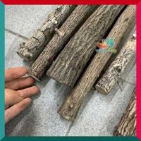 1kg lũa thạch sùng 4-6 cây vân gỗ ngẫu nhiên