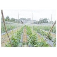 1KG LƯỚI BẮT GIÀN LEO CHO BẦU, BÍ, MƯỚP, DƯA CHUỘT, ĐẬU ĐỖ... KHỔ RỘNG 1,3 MÉT (KHOẢNG 50M2)