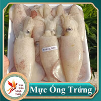 1kg Mực Trứng Tươi Size 20-25 con – Mực Ống Trứng -Vựa Khô Minh Triết