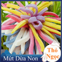 1kg Mứt dừa non ít ngọt dẻo thơm nhà làm,dừa non sấy dẻo thơm ngon đặc sản Bến Tre