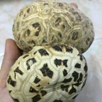 1kg nấm đông cô