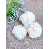 1kg Nấm tuyết ngon loại 1 ( Đã tẩy trắng)