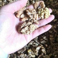 1KG NHÂN HẠT ÓC CHÓ TRỢ GIÁ 210K