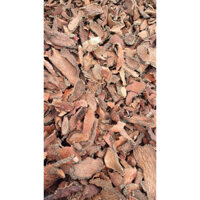 1kg Nhục thung dung nam - bổ thận tráng dương - tăng sinh lý nam giới