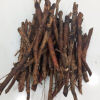 1kg rễ Cây Dừa tươi (Rễ Dừa tươi)1kg