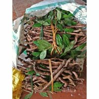 1kg rễ sâm xuyên đá