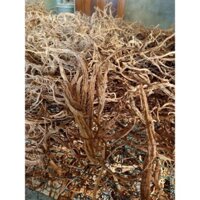 1kg Sâm dây Ngọc Linh củ khô size trung 500gr trồng Kon Tum, hàng chuẩn chính gốc thải độc cơ thể