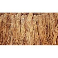 1kg sâm đương quy