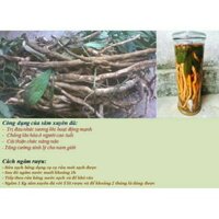 1kg sâm xuyên đá