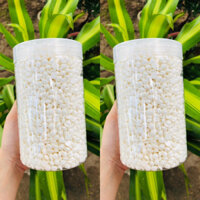 1kg Sáp Wax Lông Cao Cấp TẶNG 200g