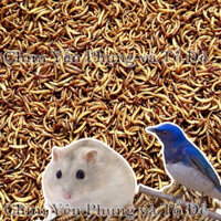 1kg sâu gạo sấy khô dinh dưỡng hàng đẹp [thức ăn: Chim cảnh, Gà kiểng, Hamster, Bọ ú, Sóc...]