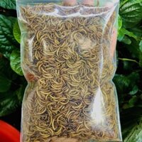 1kg Sâu Gạo Thức Ăn Cho Chim Sâu Gạo Thức Ăn Gà Con Sâu Gạo Thức Ăn Cho Chuột Hamster