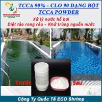 1kg TCCA 90%, Clo 90 dạng Bột xử lý nước hồ bơi, khử trùng nhà cửa, khử trùng nước sinh hoạt, tẩy rong rêu sàn xi măng