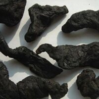 [1kg] Thục địa thơm ngon