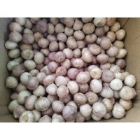 (1kg) TỎI CÔ ĐƠN LÀM TỎI ĐEN LOẠI TO