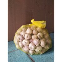 1kg TỎI CÔ ĐƠN TÍM VIỆT NAM DÙNG LÀM TỎI ĐEN TỐT CHO SỨC KHỎE