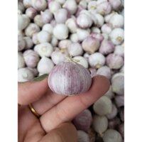 1kg Tỏi Cô Đơn vip làm tỏi đen