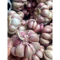 1kg tỏi tím  ( tỏi Bắc loại ngon)