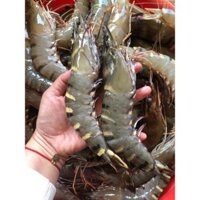 1Kg TÔM SÚ THIÊN NHIÊN - Tôm Sú biển khổng lồ size 12 con/kg - Chất lượng ko bơm- Ship hỏa tốc HCM