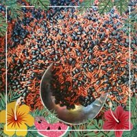 1Kg Trà Giảm Cân Gạo Lứt, Đậu Đen Rang Tay