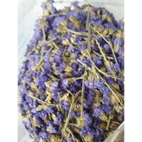 1Kg Trà hoa lưu ly (trà salem tím)