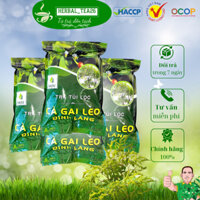 1KG Trà túi lọc Cà Gai Leo Đinh Lăng SADU Hỗ trợ thải độc , bảo vệ lá Gan và tăng cường tuần hoàn máu não
