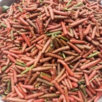 1kg trái tiêu lốp quả tiêu lốp tuoi