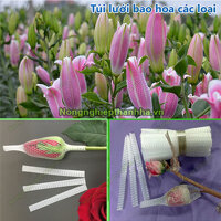 1Kg Túi lưới nhựa bao hoa