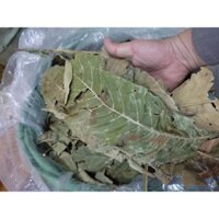 1KG TỲ BÀ DIỆP KHÔ LÁ NGUYÊN (Giá sỉ theo số lượng)