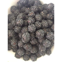 1KG VIÊN HÀ THỦ Ô MẬT RỪNG , VỪNG ĐEN ( thảo dược )