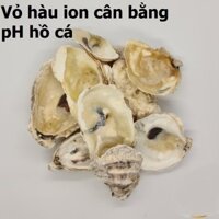 1kg vỏ hàu ion Power X giúp trung hòa axit, cân bằng pH hồ cá.