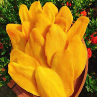 1kg xoài sấy dẻo thơm ngon