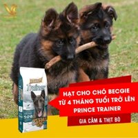 [1kg]Thức Ăn Hạt Cho Chó Becgie Từ 4 Tháng Tuổi Trở Lên | Prince Trainer Gia Cầm & Thịt Bò| VC Pet Shop