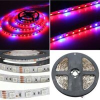 1M 2M 3M 4M 5M 3:1 5050 SMD LED Non-waterproof Hydroponic Plant Grow Strip Light DC12V