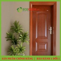 1M CỬA THÉP VÂN GỖ ECO 2 CAO CẤP