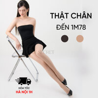(1m65-1m78) Quần Tất Chân Dài Siêu Dài Co Dãn DOLLY SECRET Thật Chân T47
