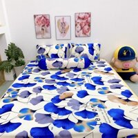 (1m6x2m nệm cao 20cm) Bộ ga giường ,drap trải giường bo chun  thun lạnh Hàn Quốc