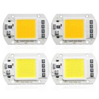 1X 5X 10X 50W 4200LM Warm/White DIY COB LED Chip Bulb Bead 60x40mm For Flood Light AC110/220V