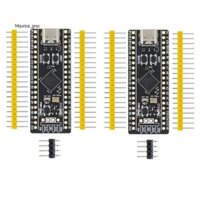 2 Bảng Phát Triển STM32F411, Bảng Học STM32F411 CEU6 STM32F4, Hỗ Trợ Lập Trình