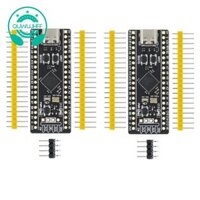 2 Bảng Phát Triển STM32F411, Bảng Học STM32F411 CEU6 STM32F4, Hỗ Trợ Lập Trình