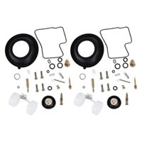 2 Bộ Xe Máy Bộ Chế Hòa Khí Sửa Chữa Màng Phao Cắt Van Phù Hợp Cho Xe Honda Shadow VT1100 VT 1100