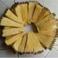 2 CÂY MÍT KHÔNG HẠT